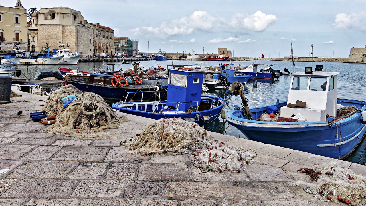 20251015•142530•Trani•Apulia•IT 